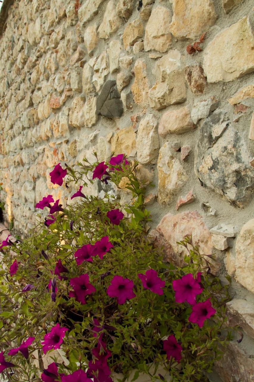 סואבה Villa Di Cazzano - Bioluxury Living מראה חיצוני תמונה